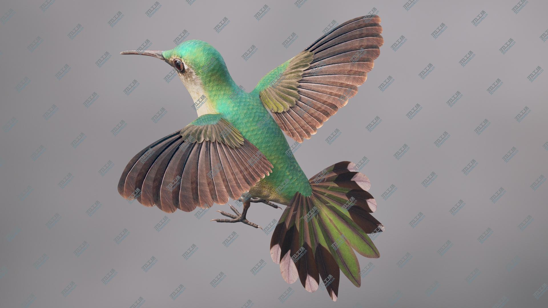 images/goods_img/2021040233/Hummingbird 3D model/1.jpg